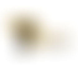 Vercelli nel calendario nazionale di appuntamenti per gli 800 anni dalla morte di San Francesco