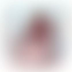 Vercellae Hospitales 2026 - Rassegna stampa