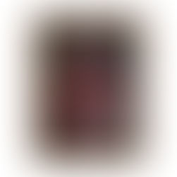 L’Intelligenza artificiale protagonista alla Vercellae Hospitales