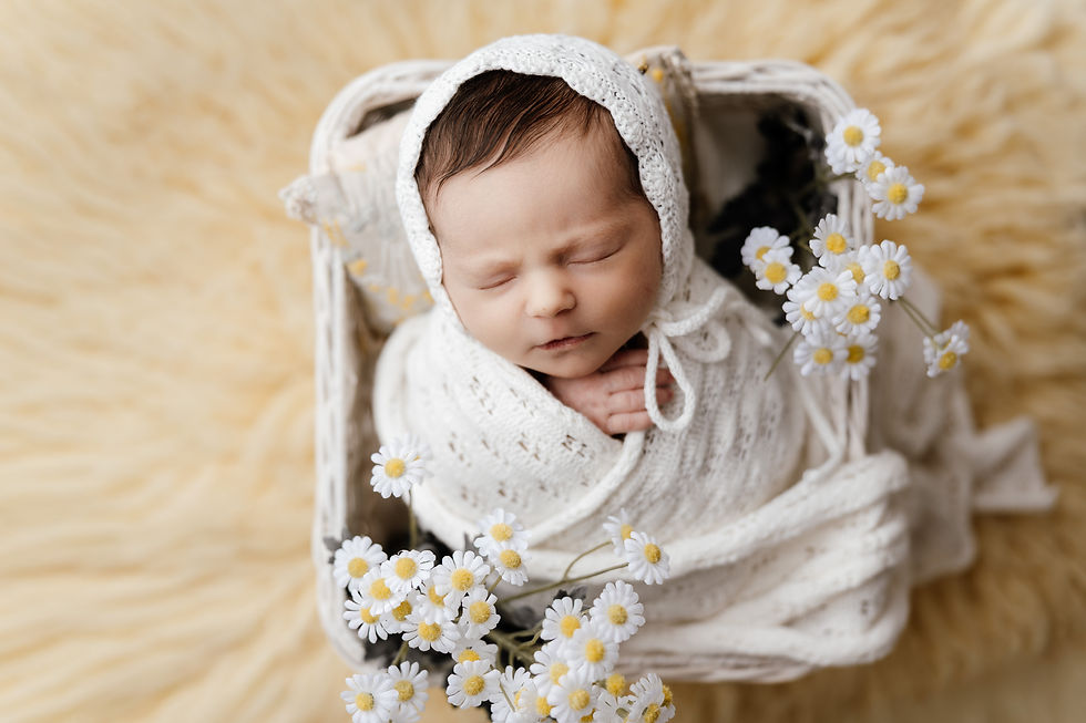 INDIANAPOLIS NEWBORN PHOTOGRAPHY