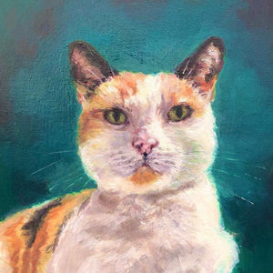 Cat pet portrait