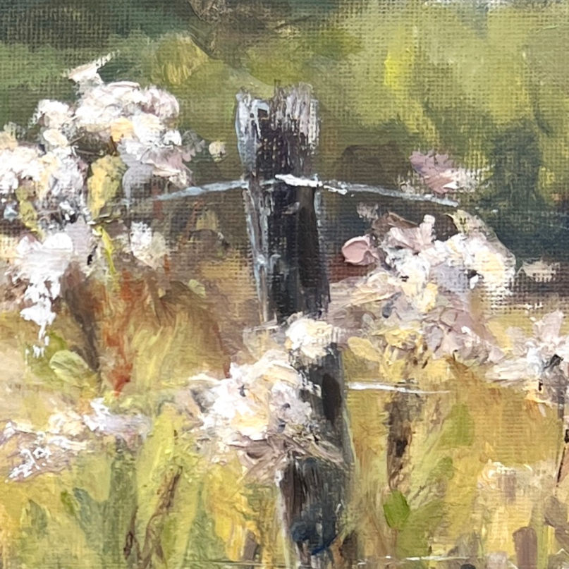 Thumbnail: On the Fence