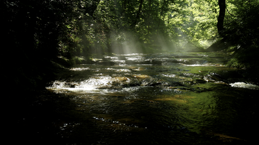 美しい自然の輝きが疲れた心を優しく包んでくれる・・・