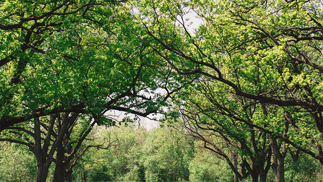 深まる秋を感じる風景や季節の移り変わりをドラマチックなピアノとともに過ごしませんか？
