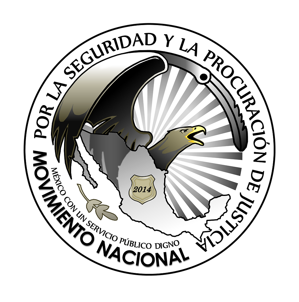 NUEVO LOGO FONDO BLANCO MNSPJ