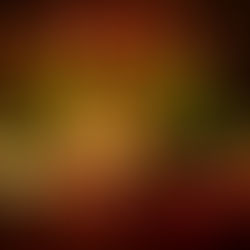 Bikini Kill coloca todas pra dançar em show extra em São Paulo 