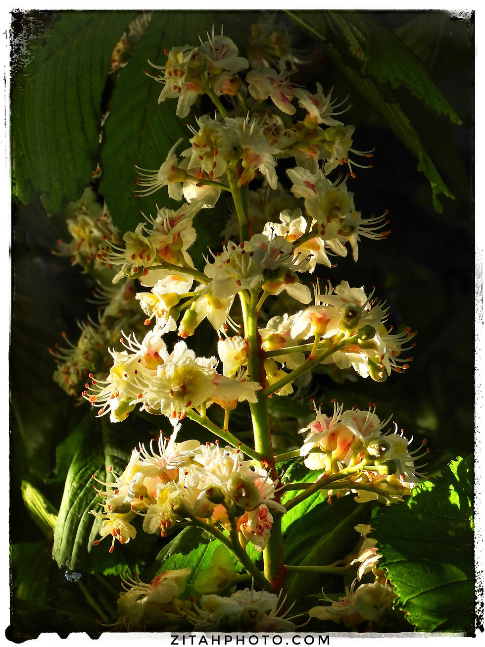 83FCC31F-EE67-4986-AB04-C19A0790387A