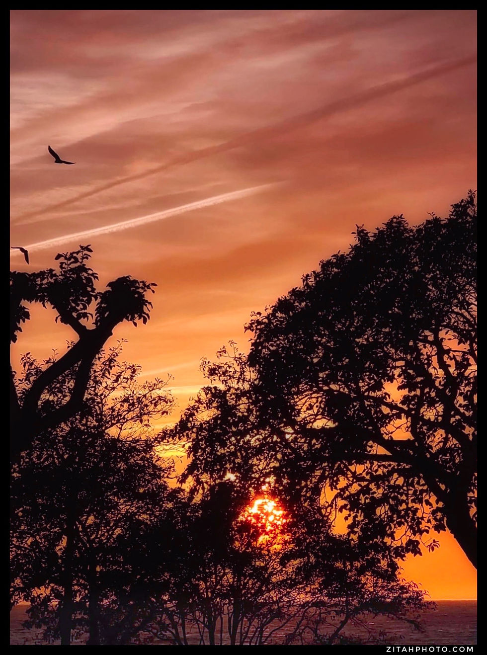 6FF877F4-B8BB-49CD-8136-9320B88279C7