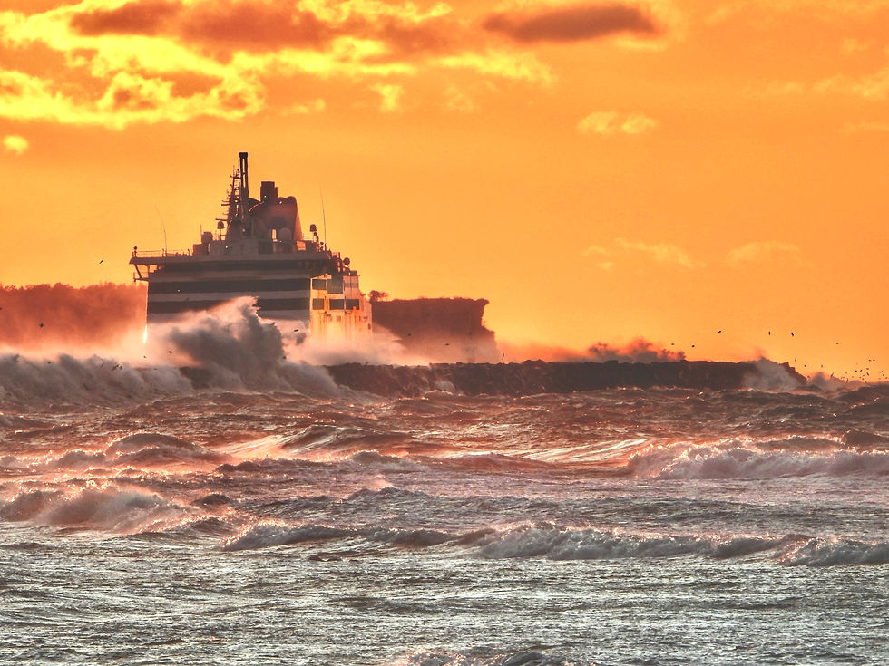 DSCN9608_SnapseedCopy_SnapseedCopy_SnapseedCopy