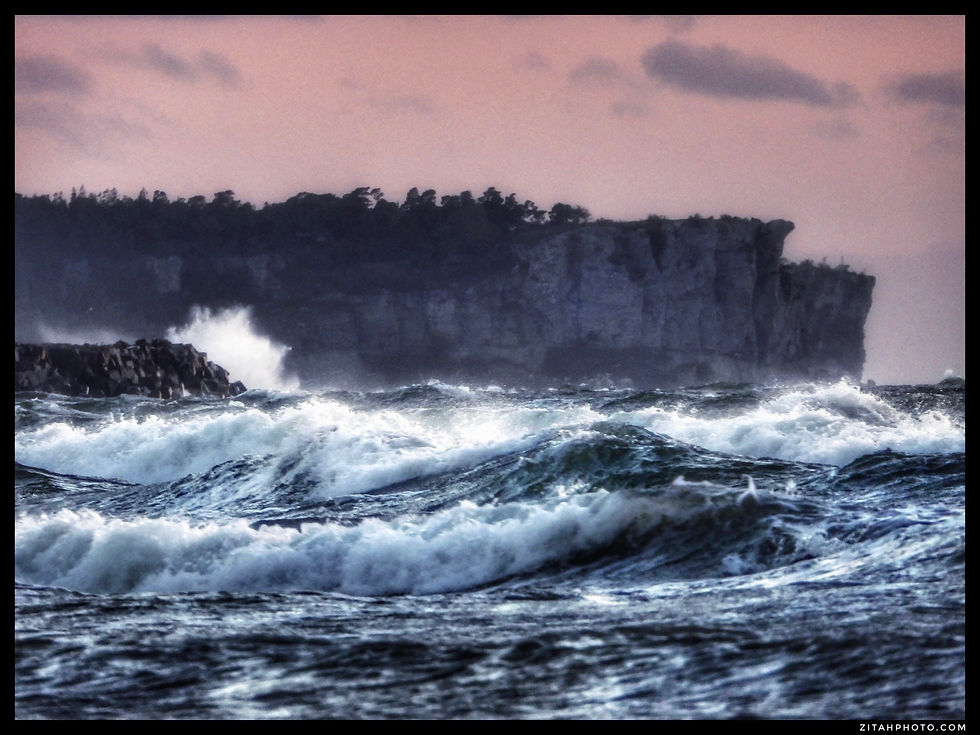 211EA18F-2831-4257-B9C5-FB2FF8A46127