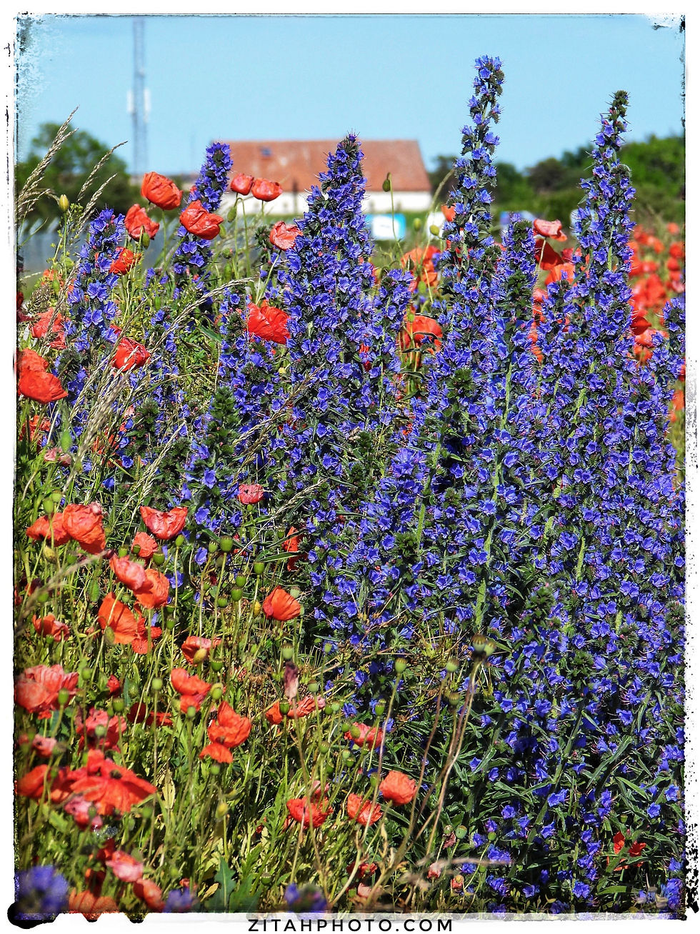 2F9F6107-362B-42E5-869D-8F64128EB9C6