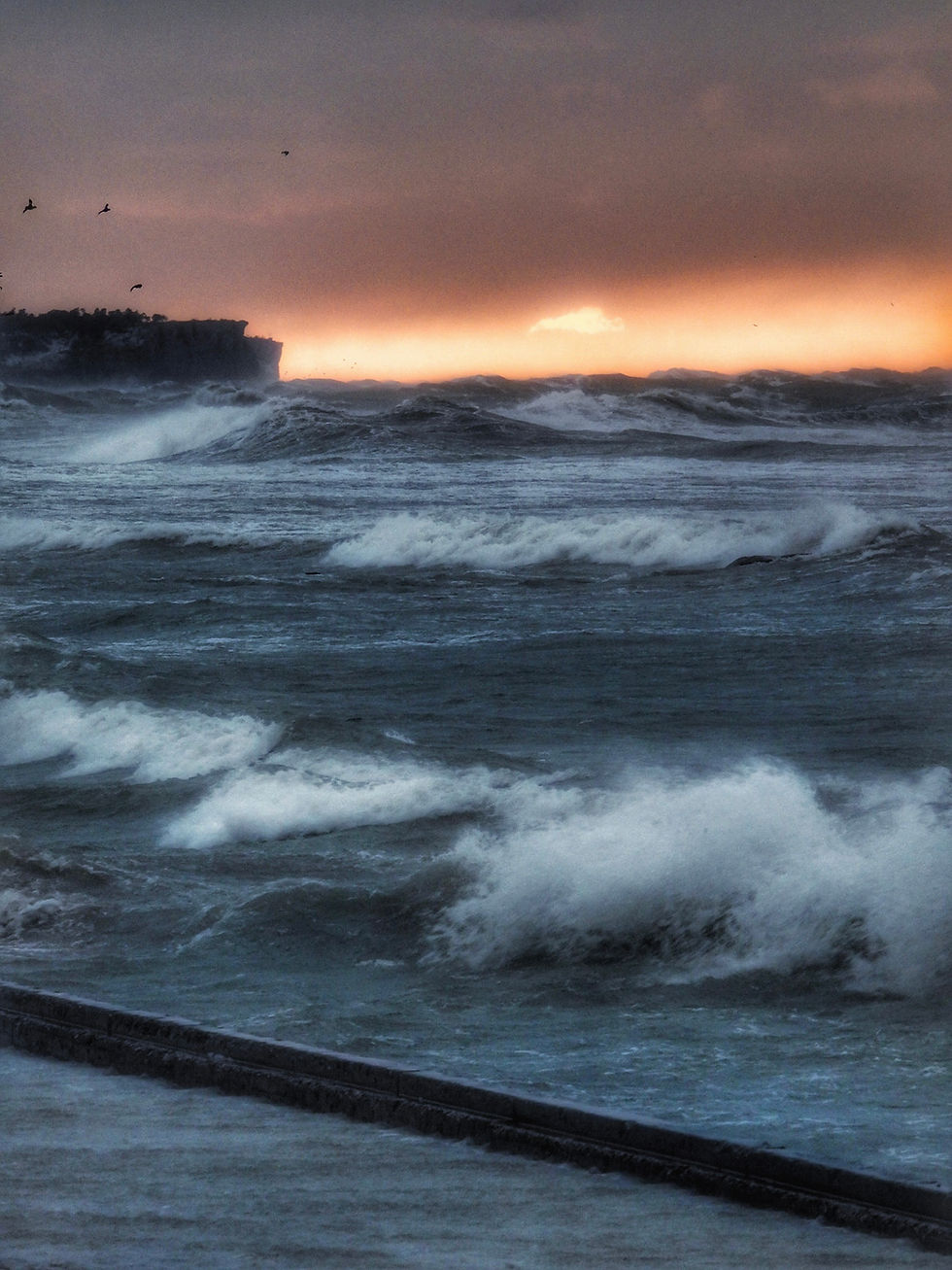 37081CF5-83AC-4FA9-B9DF-C594B0DFE6C2