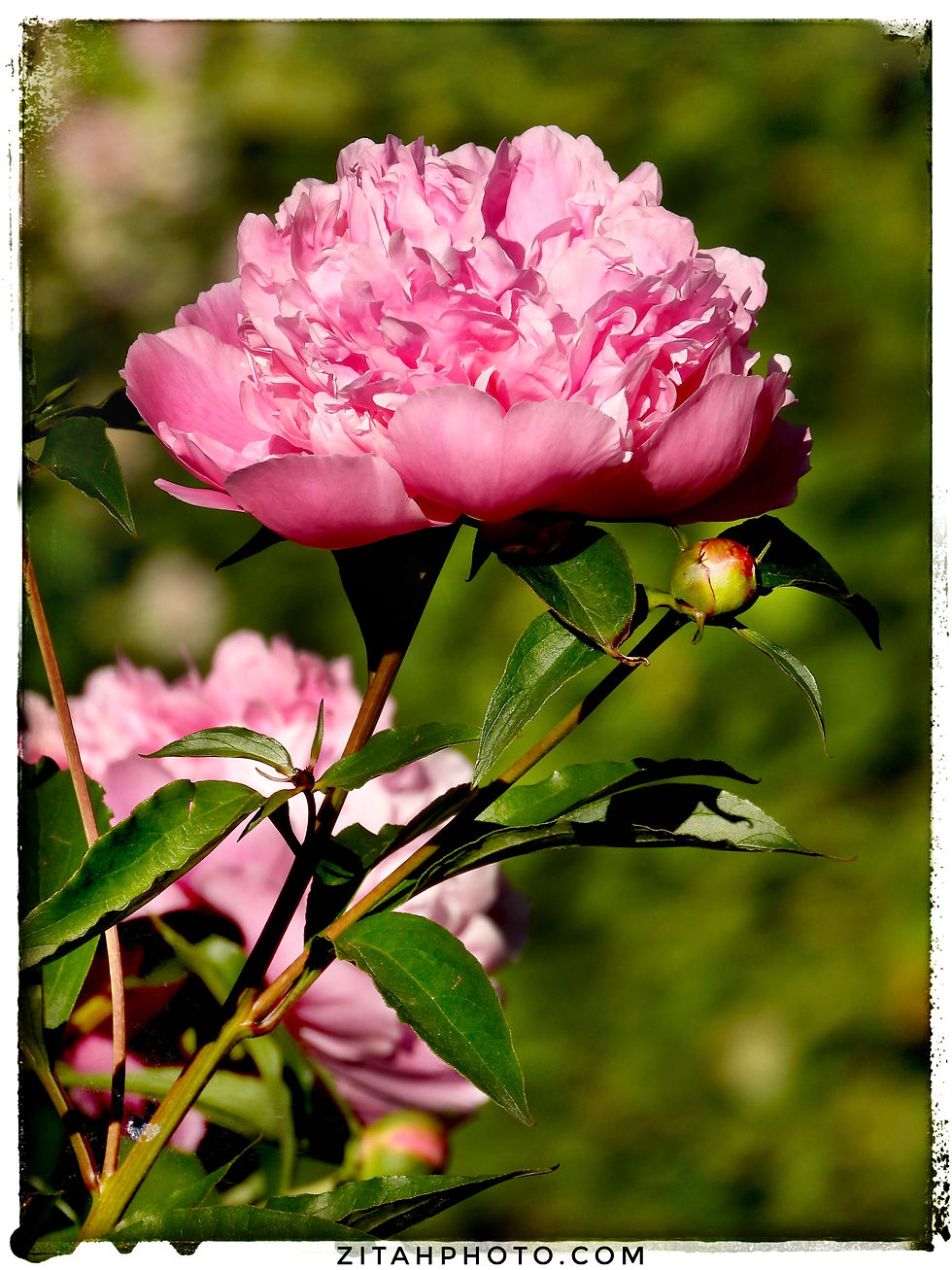 F1E514C6-32A9-4C06-A09F-8587A223188F