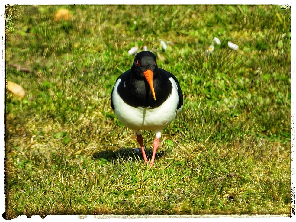 9699A126-D77C-4786-9D61-B3AE9FAAE7AA