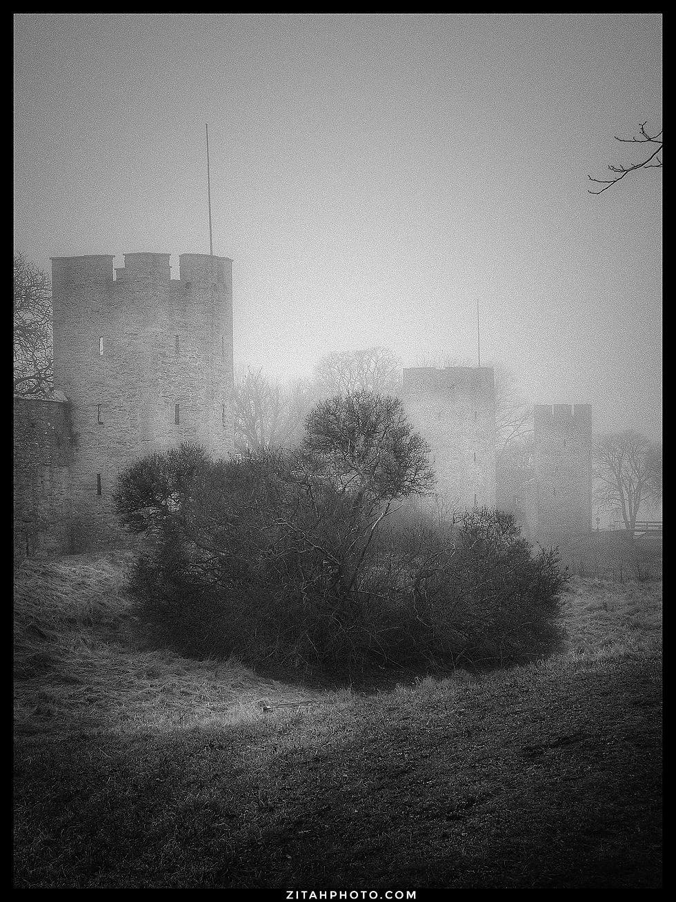 4EF092B1-9B8A-48BE-869C-8B6CFFAD0557