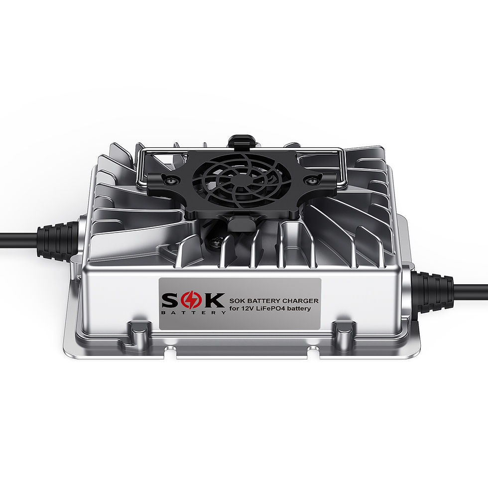 Thumbnail: SK12V20A | SOK Battery Charger for 12V LiFePO4 Battery