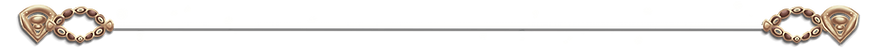 SSD_Divider.PNG