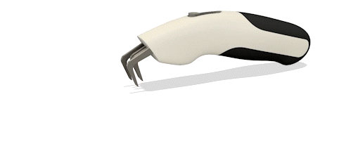 eshwari_the_great_v5__2__Trim_AdobeExpress (1).gif