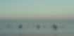 Seaborne 2 Screenshot (60).jpg