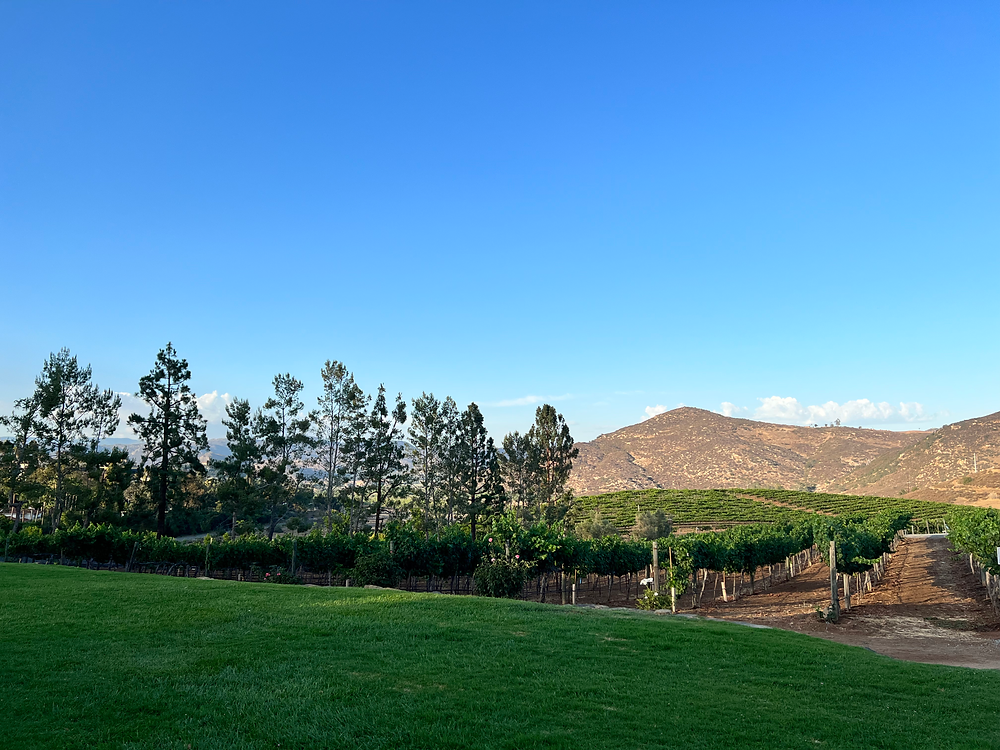 When You're in a Funk... Welcome The