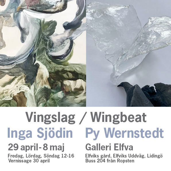 Vingslag - Wingbeat
