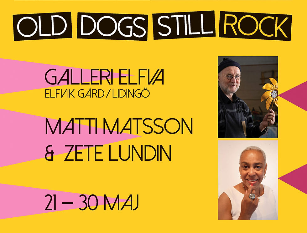 Old Dogs Still Rock