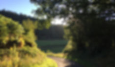 Prachtig stukje natuur in La Montagne Bourbonnaise
