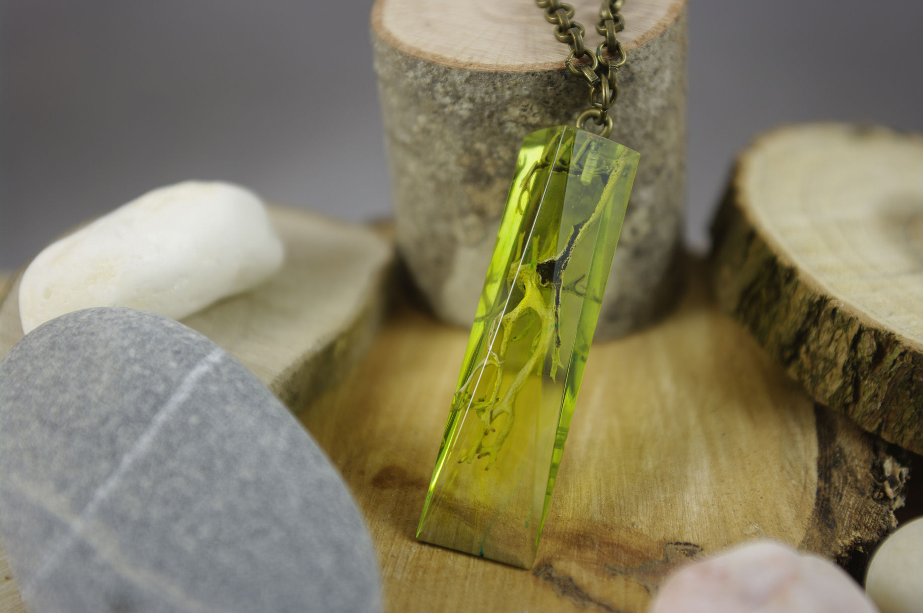 Resin pendant "Obsequious Rootlets of the Marshes"