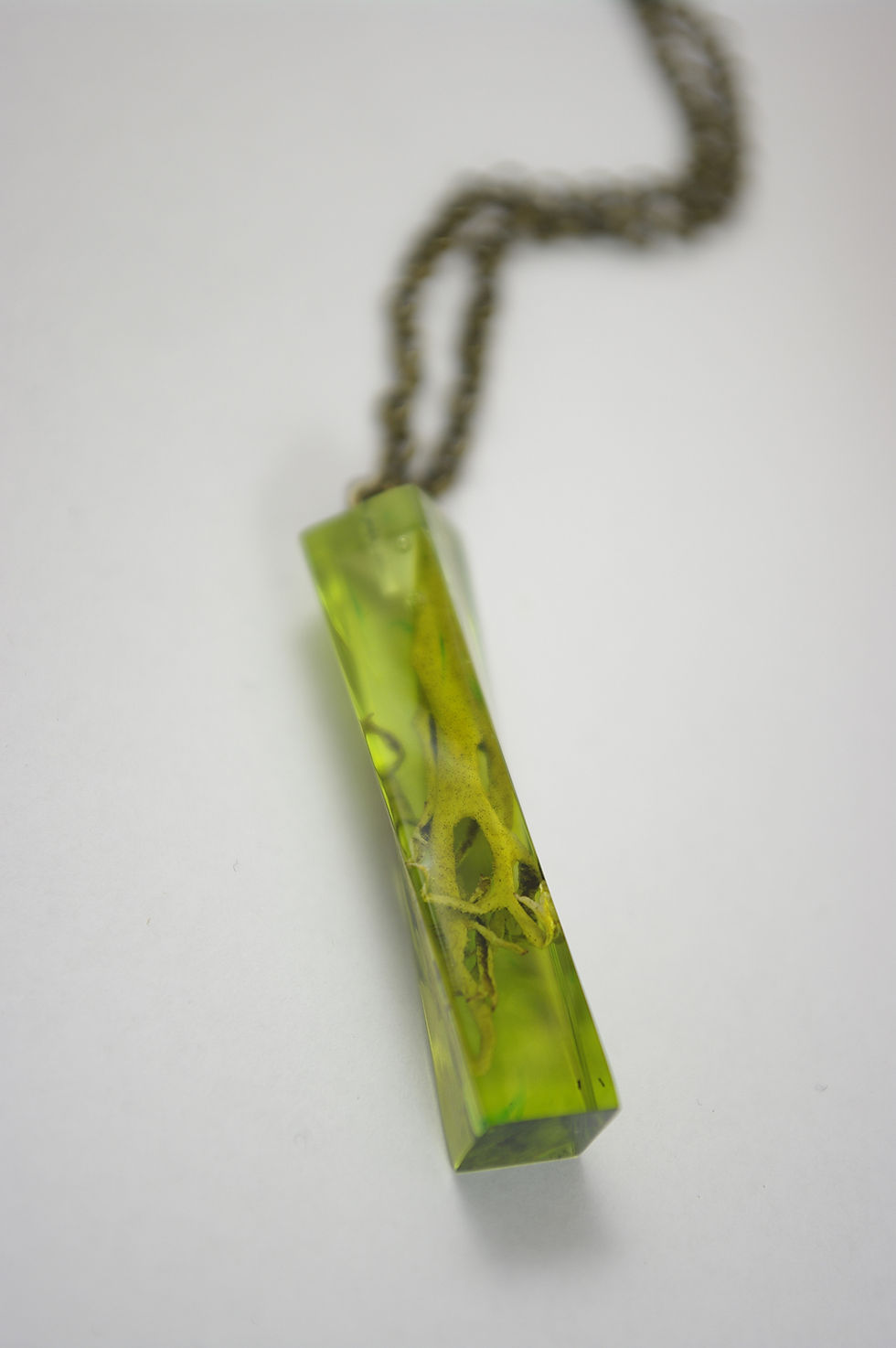Miniature : Pendentif résine "Radicelles Obséquieuses des Marais"