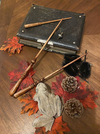 Magic wand in real wood cabinet of curiosity Entropium from the Pierre Poilue