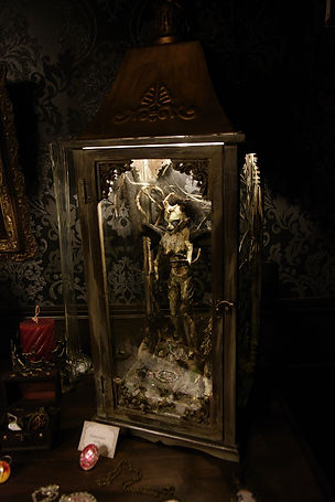 Chevauchair Mummified creature - cabinet of curiosities alternative taxidermy