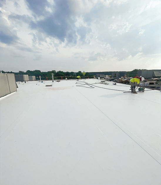 IMG_2795 (1)_edited_edited.jpg