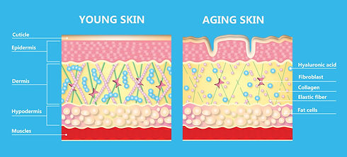 skin.jpeg