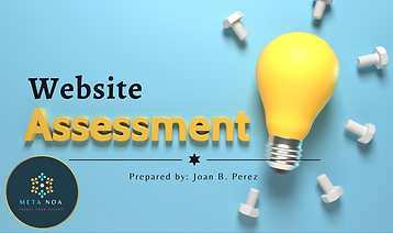 Website Assestment.png