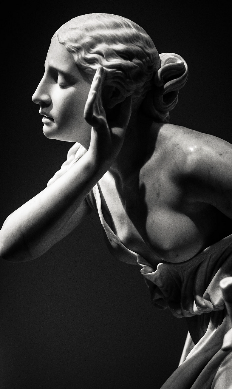 artima1V_edited.webp