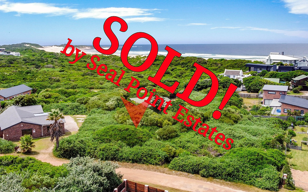 Property for Sale Cape St Francis