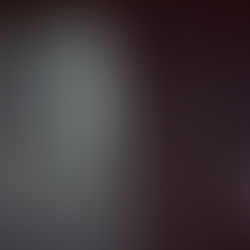 The South African Government has failed to condemn the cruel execution of six innocent Israeli and American hostages by Hamas