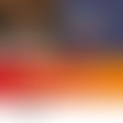 Why Schools but not Shuls