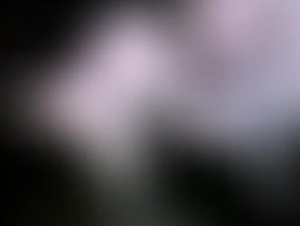 Blanche Dugdale…Zionist Par Excellence