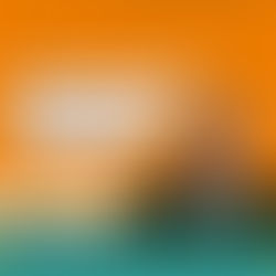 Navigate the upcoming local elections | Register now