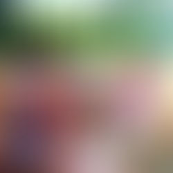 QUIRKS AND CURIOSITIES