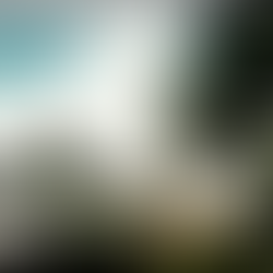 THE 2004 TSUNAMI AND SOUTH AFRICAN JEWRY