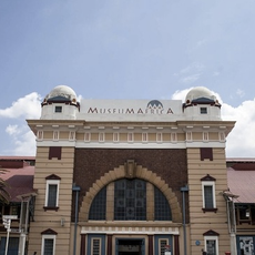 A rich history archive has been left to rot – David Saks