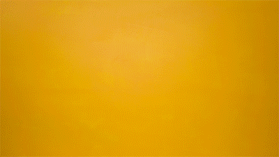 f0011750748011.58d92dc34a0fa.gif