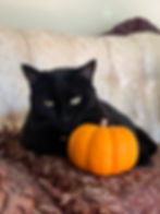 Blackie