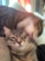 Keanu & Piper