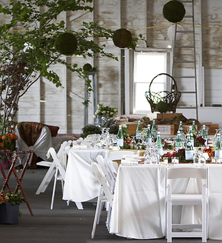 Outdoor Dinner Party