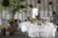 Outdoor Dinner Party
