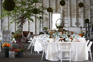 Outdoor Dinner Party