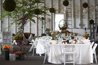 Outdoor Dinner Party